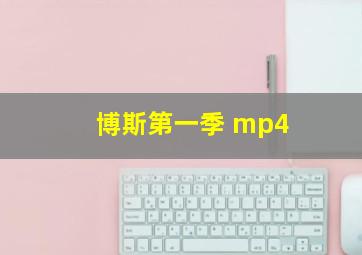 博斯第一季 mp4